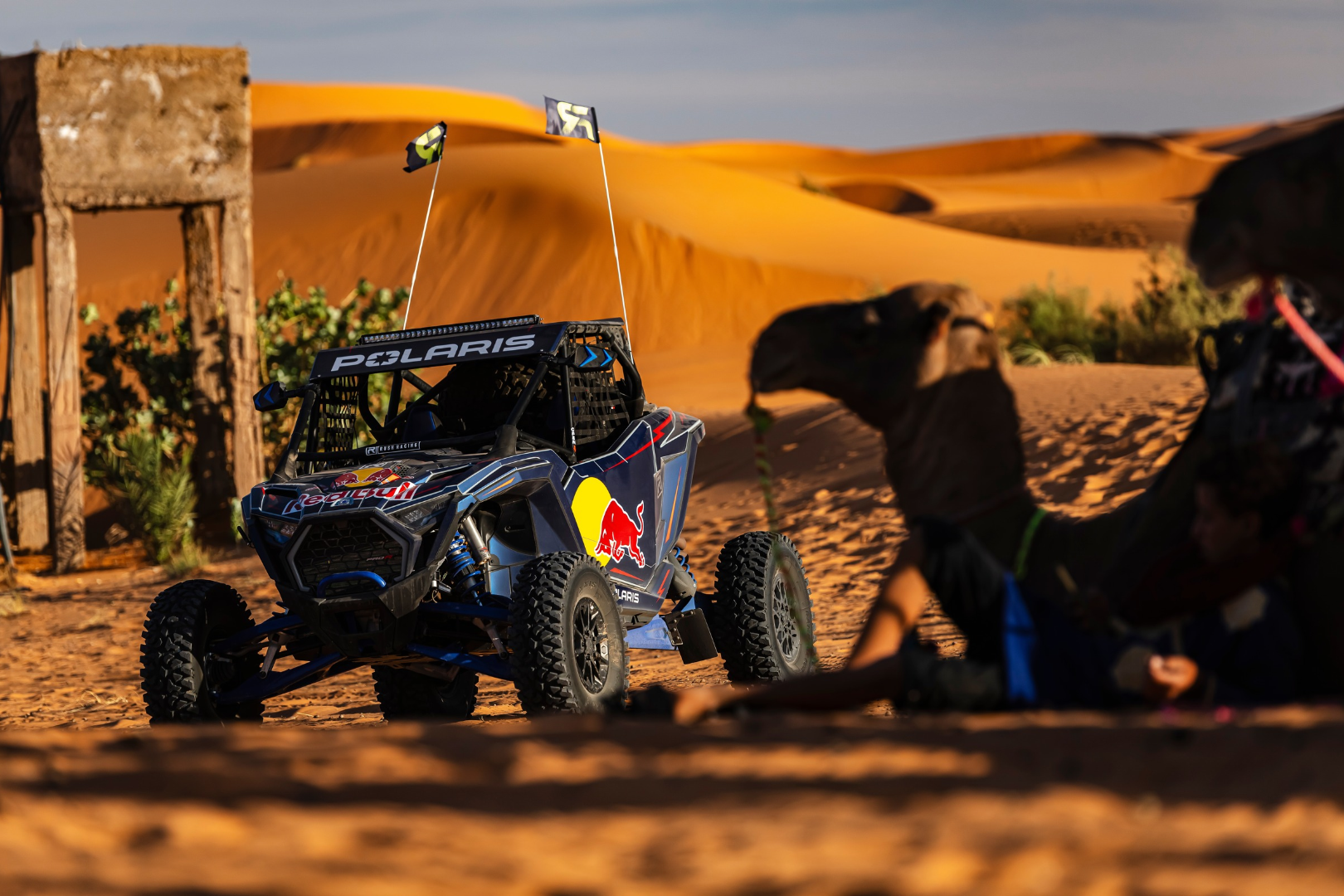 Maroko, Sardynia i kolejne kierunki. Zwiedzaj świat z Polaris RZR Pro R i Rush Racing.