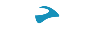 Cardo